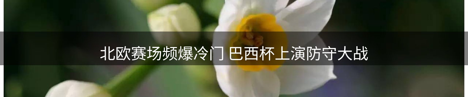 赛事资讯
