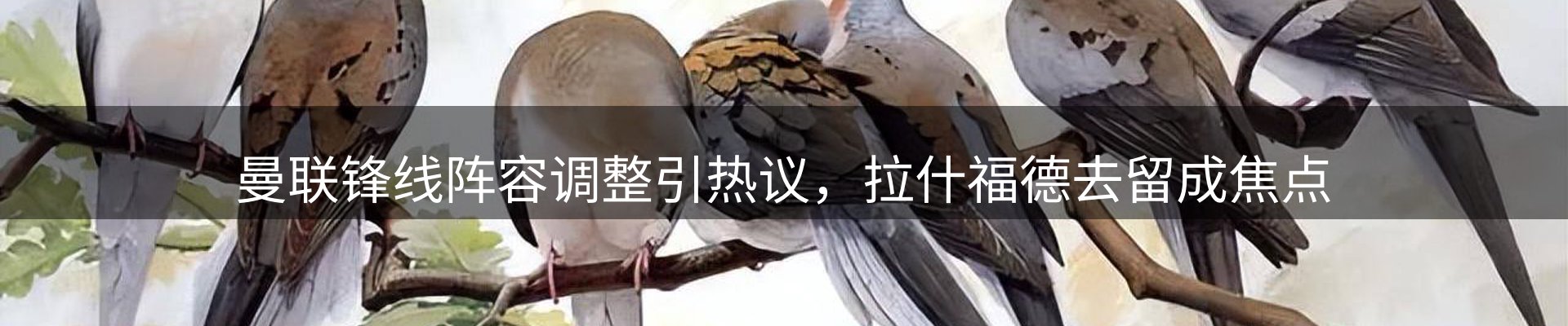 热点研判