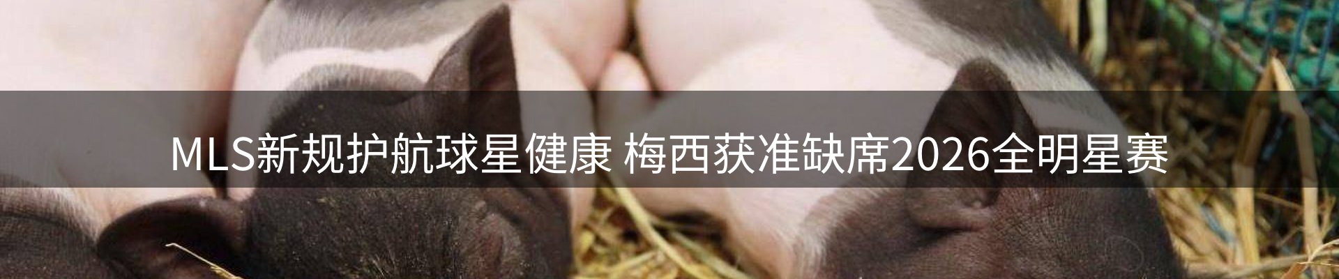 赛事资讯